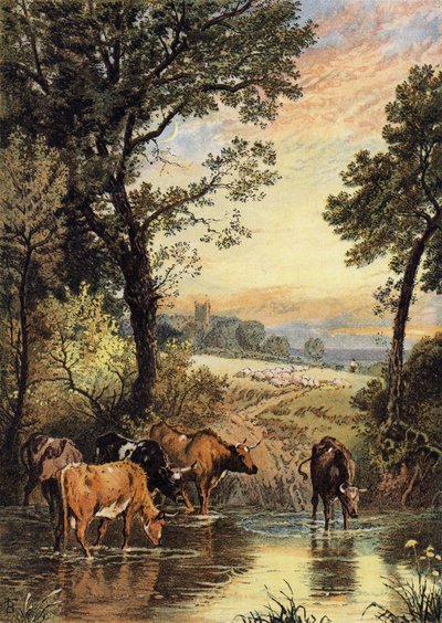 Sommerabend von Myles Birket Foster